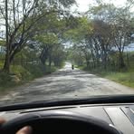 Profile Picture of Alex Serra (@alex.serra.738972) on Facebook