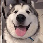 Profile Picture of Dylan Matthew Byerley (@dylan.byerley28) on Instagram