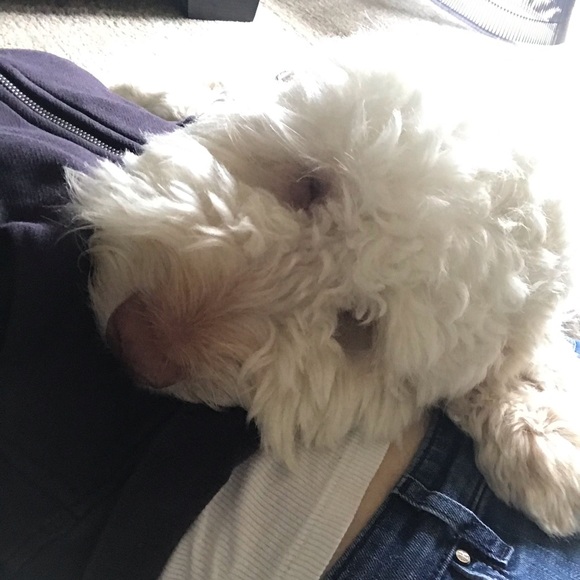 Profile Picture of Bonnie Ossip (@bossip) on Poshmark