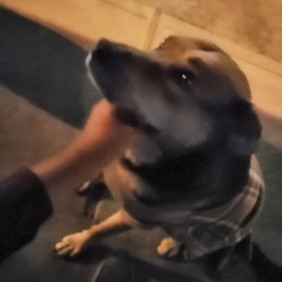 Profile Picture of Doby (@AycachiWilliam) on Twitter