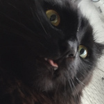 Profile Picture of Danny Brown (@dannyjamesfraserbrown) on Flickr