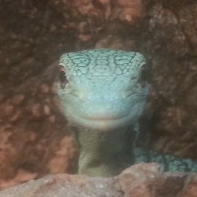 Profile Picture of Matthew Cossman (@matthewbcossman) on Twitter