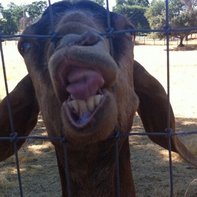 Profile Picture of Hunter Dobbs (@humper53) on Twitter