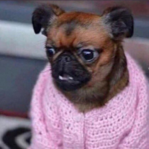 Profile Picture of Chase Hawkins (@chasehawkins1) on Poshmark