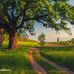 Profile Picture of Adam Kovacevic (@adam.kovacevic.77) on Facebook