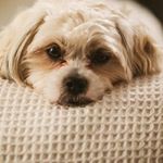 Profile Picture of Andrea Castiñeiras Rodriguez (@andreacastineiras) on Instagram