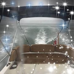 Profile Picture of David Elmes (@david.elmes) on Tiktok