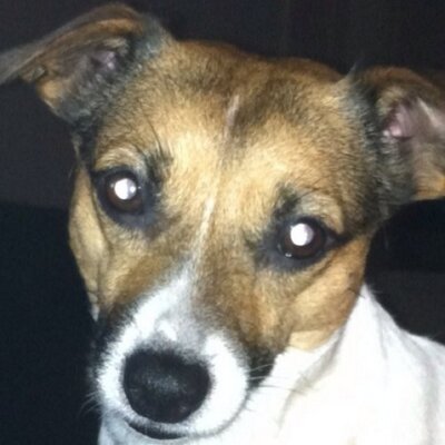 Profile Picture of Joe Klosterman (@JoeKlosterman) on Twitter