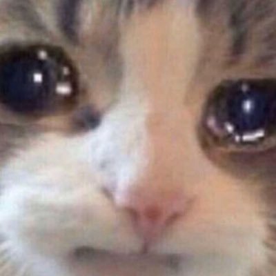 Profile Picture of Nicholas Ngo (@sniperkillspro) on Twitter