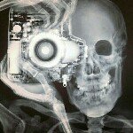 Profile Picture of Guilherme Milanetto (@piquetm) on Instagram