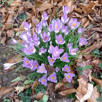 Profile Picture of Anna Alizadeh (@AnnaAlizadeh1) on Twitter