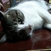 Profile Picture of Margaret.Blevins (@stevelhv4is) on Tiktok