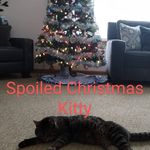 Profile Picture of Chad Fuhrman (@fuhrmanchad) on Instagram