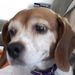 Profile Picture of Stacey Hatcher (@staceyhatcher92) on Pinterest
