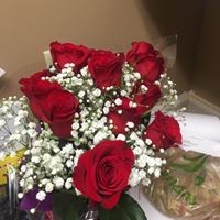 Profile Picture of Lori Barone (@lori-barone-5) on Quora
