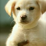 Profile Picture of Andre Fritz (@andrefritz3) on Instagram