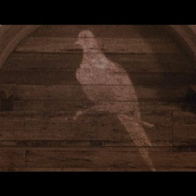 Profile Picture of Kyle Colwell (@KyleColwell) on Twitter