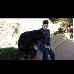 Profile Picture of Eric Gemmi (@ericgemmi) on Tiktok