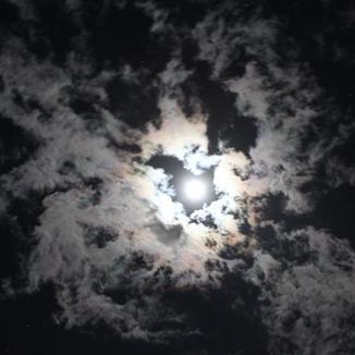 Profile Picture of Scott Allen (@ScotsWanderer) on Twitter