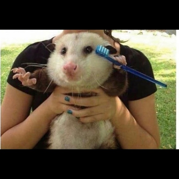 Profile Picture of Francis Mishak (@francismishak) on Poshmark