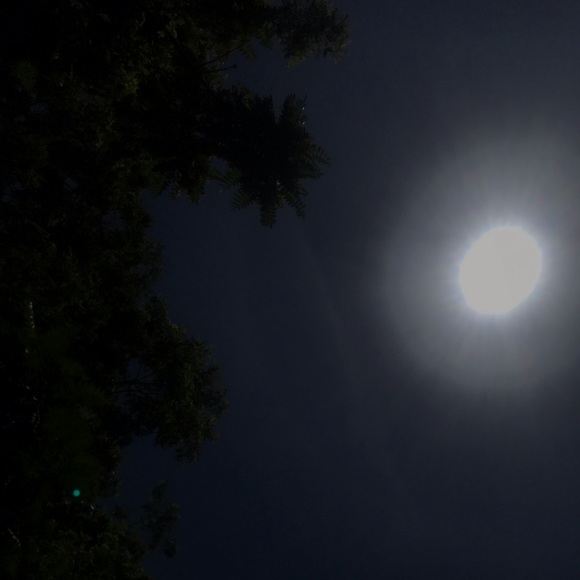 Profile Picture of Aj Thompson (@ann2012193) on Poshmark