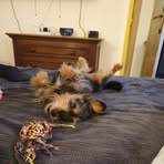 Profile Picture of Brigitte Chapelin (@Brigitte-Chapelin) on Facebook