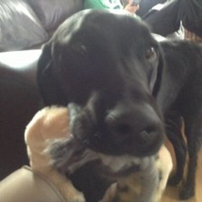 Georgina Rees - Twitter Profile Picture of Georgina Rees (@georgierees80) on Twitter