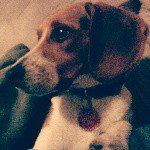 Profile Picture of Sir Richard Hoover Weinberger (@richard_dick_weinberger) on Instagram