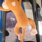 Profile Picture of Frank To Zoli (@frank.to.zoli) on Facebook