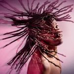 Profile Picture of L'oiseau Des Iles (@desiles.loiseau) on Instagram