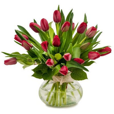 Profile Picture of Feldis Florist (@FeldisFlorist) on Twitter