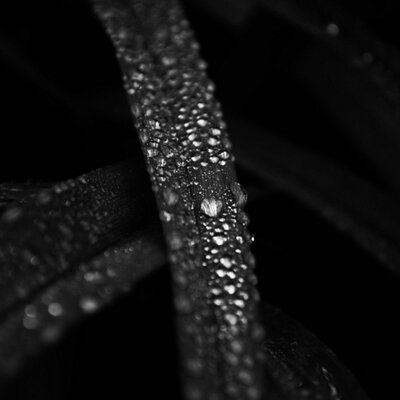 Dave Kuzel - Twitter Profile Picture of Dave Kuzel (@davekuzelphoto) on Twitter