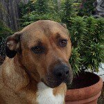 Profile Picture of Stephen (@dietcocain) on Instagram