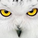 Profile Picture of Mark Wigley (@markwigley55) on Instagram
