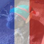 Profile Picture of Maxine Proctor (@maximoomin87) on Instagram