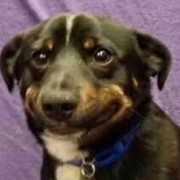 Profile Picture of Daniel Maldonado (@daniel123_hm) on Poshmark