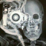 Profile Picture of Terry Alexander (@alexander_bites) on Instagram