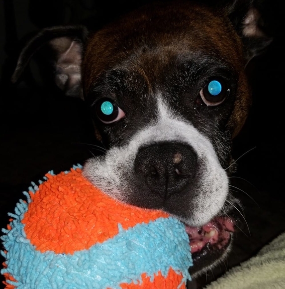 Profile Picture of Danielle Branche (@daniellebranche) on Poshmark