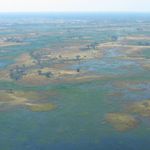 Michel Depierre - Instagram Profile Picture of Michel Depierre (@depierremichel) on Instagram