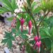 Profile Picture of Lori Cloutier (@llc53) on Pinterest