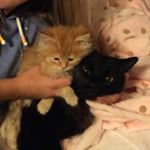 Profile Picture of Ringo&ronaldo (@_ringoandronaldo_) on Instagram