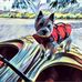 Profile Picture of Nancy Rella Brodesser (@nancy.rellabobbins) on Facebook