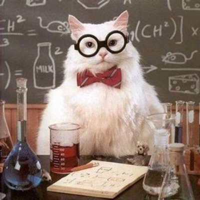 Profile Picture of Joe Farlow (@FarlowJoe) on Twitter