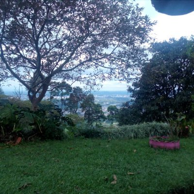 Carlos Idarraga - Twitter Profile Picture of Carlos Idarraga (@Carlosidarrag13) on Twitter