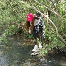 Profile Picture of Amelia Fitch (@amelia_badellia) on Twitter