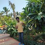 Kiran Pinto - Instagram Profile Picture of Kiran Pinto (@kiran.bavakar.925) on Instagram