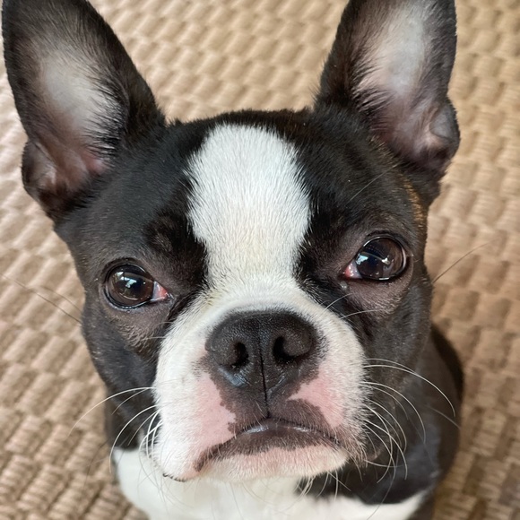 Profile Picture of Christopher Sauer (@mrchris311) on Poshmark