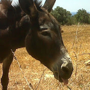 Profile Picture of John Petri (@prasinikerkida) on Youtube