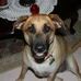Profile Picture of Marilyn Stepp (@marilyn.stepp152) on Facebook