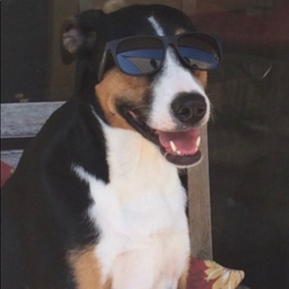 Profile Picture of Eva Teekasingh (@evateek) on Poshmark